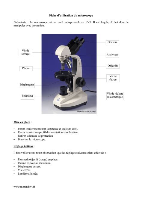 Fiche D Utilisation Du Microscope