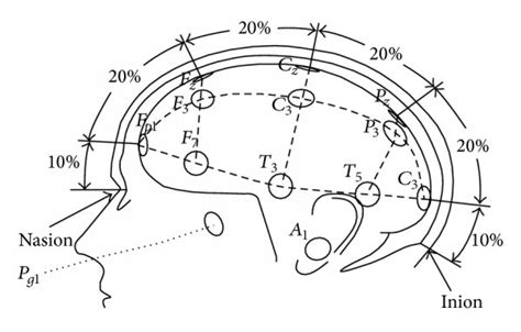 Electrodes Placement Over Scalp Based On 10 20 International Eeg