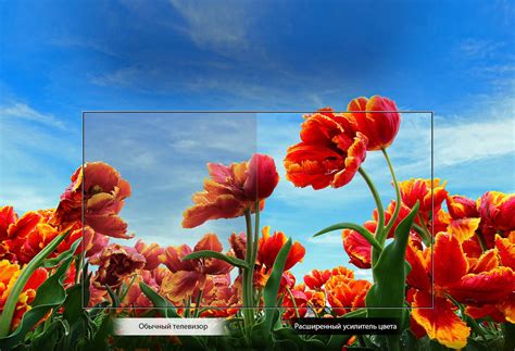Full HD телевизор 43'' LG 43LM5500PLA | LG RU