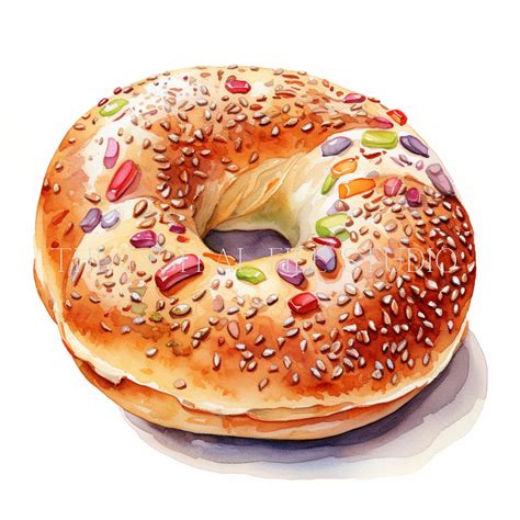 12 Watercolor Bagels Clipart Pngpdf Bagels Digital Images Bagels