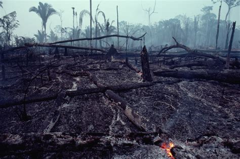 Brazils Amazon Breaks Another Deforestation Record Ecowatch