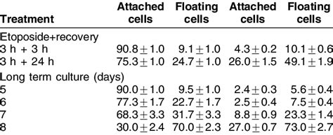 Apoptotic Index Of Attached And Oating Hela Cells Treated With