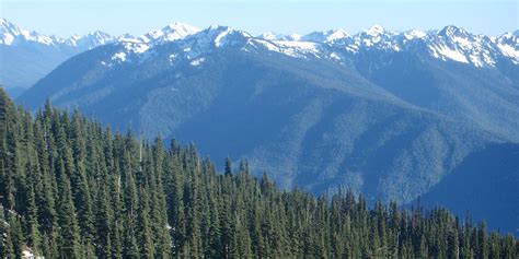 Hurricane Ridge Area | Olympic National Park | OlympicNationalPark.com