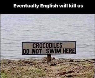 You Crocodiles Are Not Allowed To Swim Here Gag