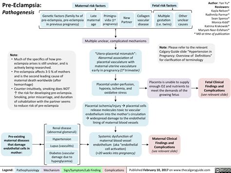 Pre-Eclampsia: Pathogenesis | Calgary Guide