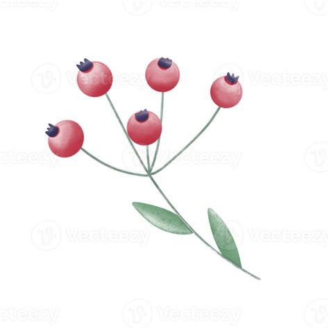 Red Berry In Autumn 32886464 Png