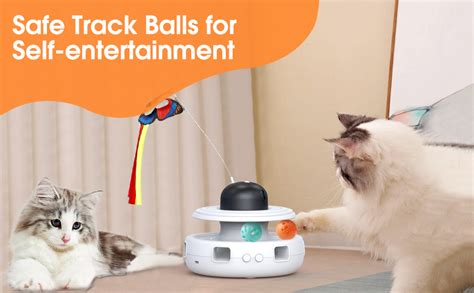 Amazon.com : 5 in 1 Cat Toys interactive for Indoor Cats - Automatic ...