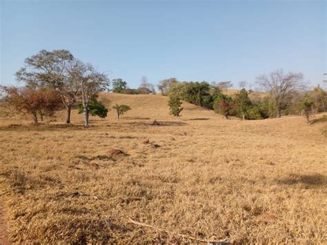 Fazenda De Alqueires Em C Rrego Do Ouro Go Terrenos S Tios E