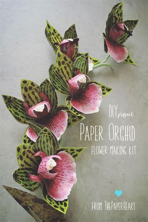 Paper Orchid Printable Tutorial and Templates, DIY Flower Decoration, Digital Craft Set - Etsy ...