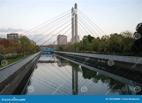 Kiba Park Of Tokyo Editorial Stock Photo Image Of Reflection 105328888