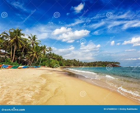 Playa De Mirissa Sri Lanka Foto De Archivo Imagen De Asoleado