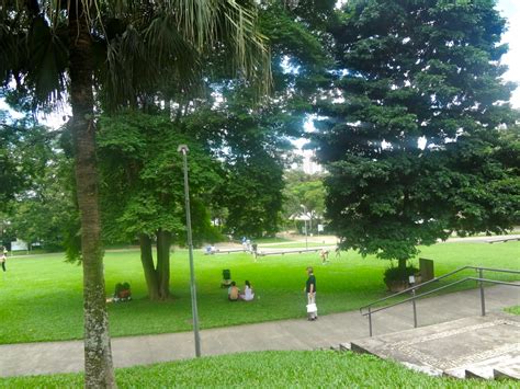 Parque Burle Marx Em S O Paulo Revisado E Atualizado Reas Verdes