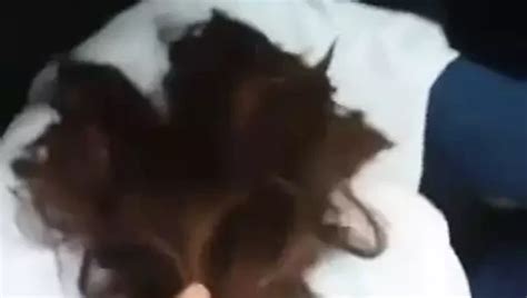 Iranian Farsi Sex Mom Porn XHamster