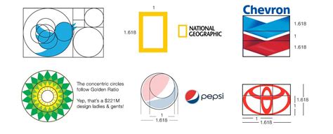 Principios Universales de Diseño Proporción