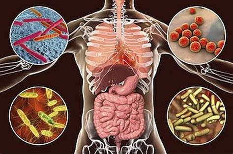 7 Penyakit Infeksi Bakteri Mulai Dari Tbc Pneumonia Hingga Sipilis