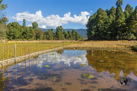 Discovering Ziro Valley and the Apatani Tribe of Ziro, Arunachal ...