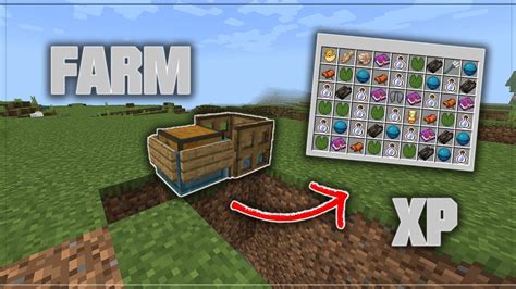 Come Fare Farm Di Pesca Super Efficace Su Minecraft Minecraft