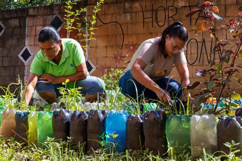 Aqui se planta se colhe e se come a vida de quem produz a própria