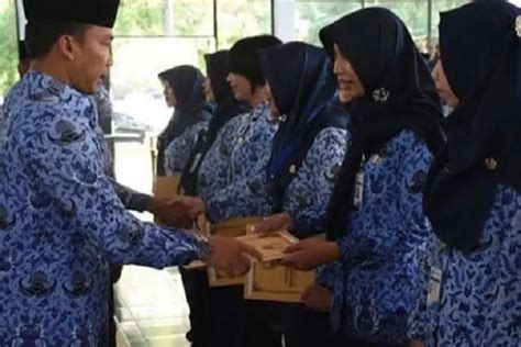 Hasil Uji Publik Pendataan Non PNS Lampung Tengah Lampung Timur Dan