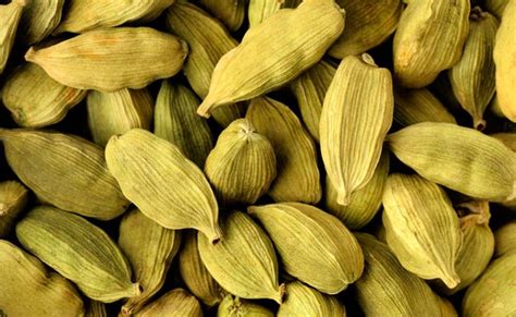 Cardamomo benefícios para a saúde e sabor exótico para receitas