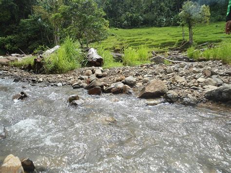 macam macam bentuk aliran sungai