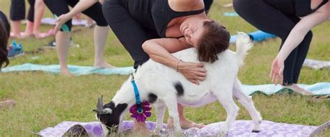 baby goat yoga near me - Logan Nagy