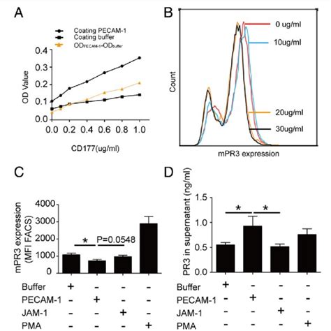 Platelet Endothelial Cell Adhesion Molecule Pecam Interaction