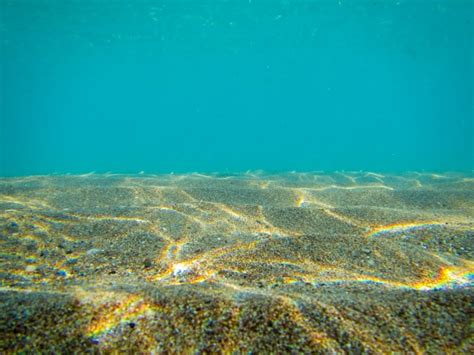 Seabed Underwater Free Stock Photo Public Domain Pictures