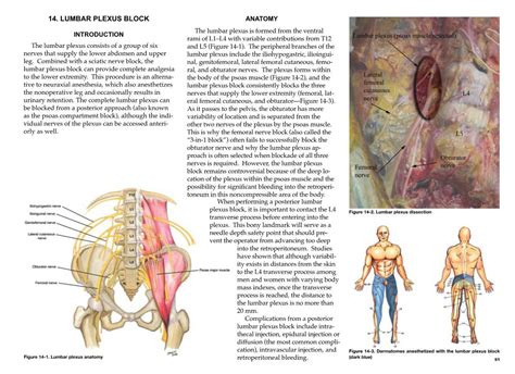 Lumbar Plexus Block Anatomy Docslib