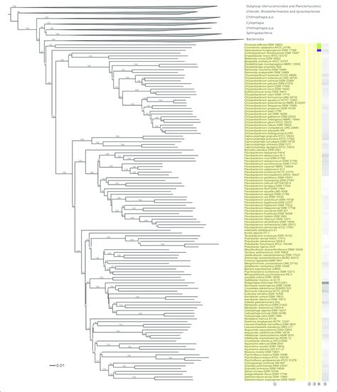 Third Part Of The Phylogenomic Tree Inferred With GBDP Tree Inferred