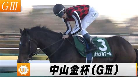 【2024】第73回 中山金杯（gⅢ）中山競馬場11r ｜ウイニング競馬 ライブドアニュース