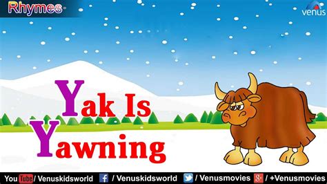 Yak Is Yawning Popular Rhyme Youtube