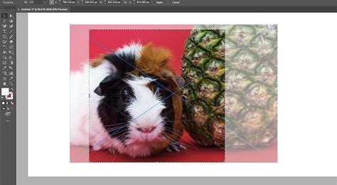 How To Crop An Image In Adobe Illustrator