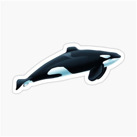 "Kyuquot Orca" Sticker for Sale by Art-by-Aelia | Redbubble