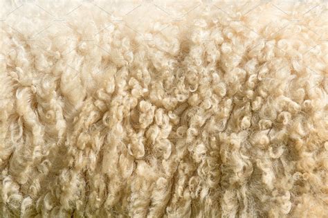 Sheep fur texture featuring sheep, fur, and texture | Fur texture, Sheep, Fur