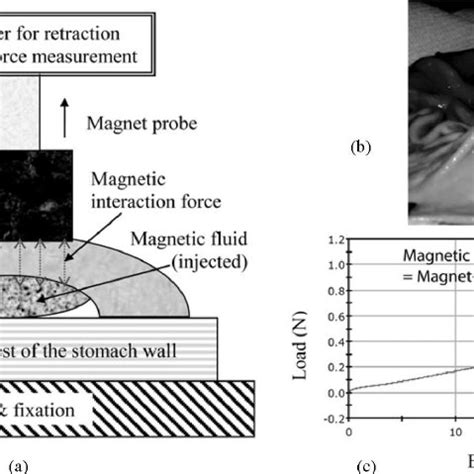 Magnetic Tissue Retraction And Force Measurement A Schematic