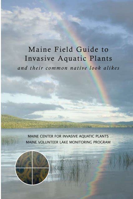 Maine Field Guide To Invasive Aquatic Plants WSU Long Beach