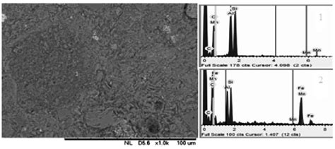 Micrografia Obtida Em Microscópio Eletrônico De Varredura E Espectros