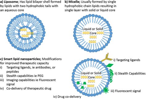 Lipid Np Structures A Liposome B Micelle C Smart Lipid Nps Download Scientific Diagram