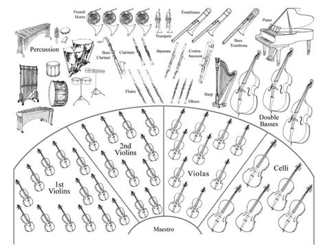 Instruments Of The Orchestra Worksheets