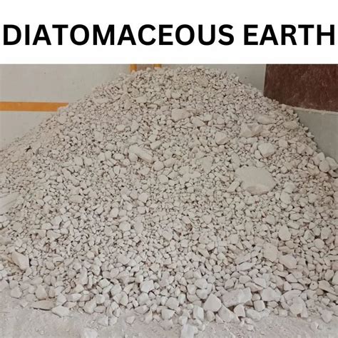 Natural Diatomaceous Earth Lumps For Industrial Packaging Size 25 Kg At Rs 15 Kilogram In Jaipur