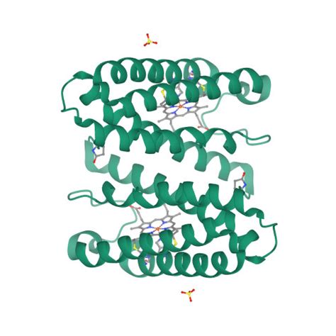 Rcsb Pdb Xld Cytochrome C Prime From Alcaligenes Xylosoxidans