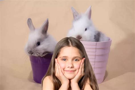 Astuces Pour Dresser Son Lapin Domestique