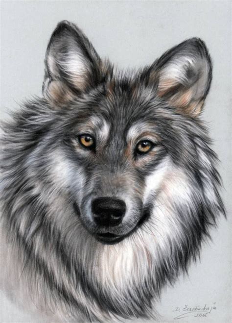 Wolf Eyes Drawing