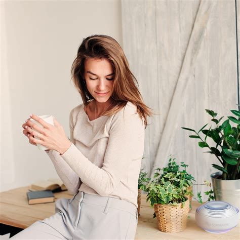 how to grow your brows