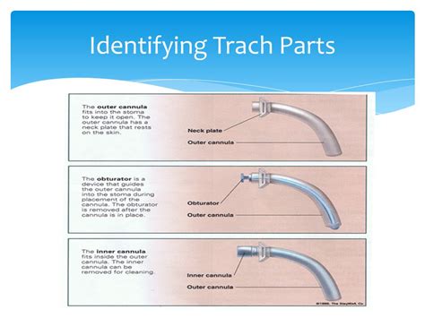 Obturator Tracheostomy