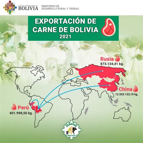 Bolivia exportó más 11 toneladas de carne bovina en lo que va del año