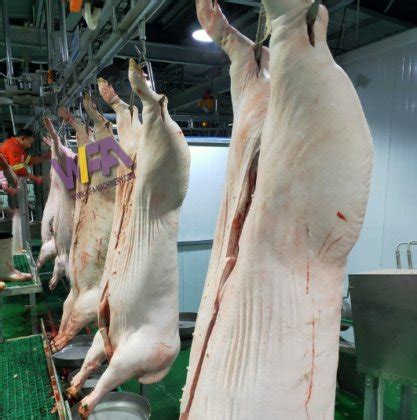 New Automatic Pork Processing Machinery Carcass Convey Rail For Pig