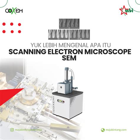 Yuk Lebih Mengenal Apa Itu Scanning Electron Microscope Sem And Apa 75308 Hot Sex Picture