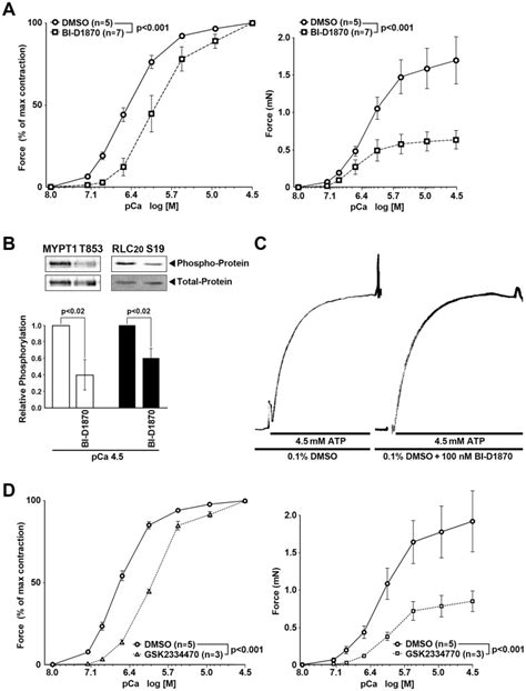 Rsk Inhibitor Bi D Is Without Effect On The Actomyosin Atpase A